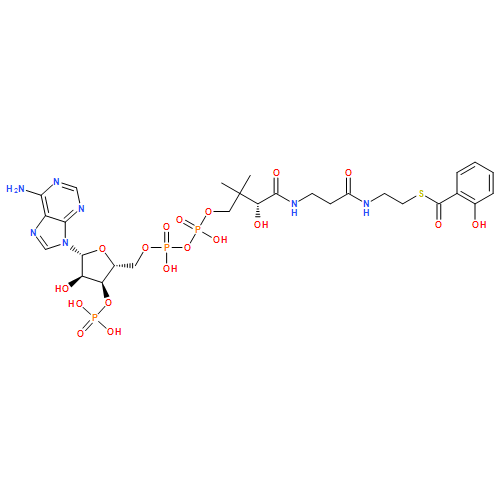 Coenzyme A, S-(2-hydroxybenzoate)