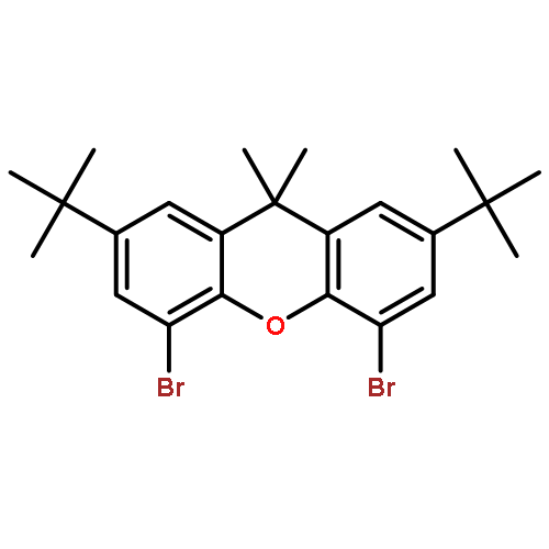 4,5-Dibromo-2,7-di-tert-butyl-9,9-dimethyl-9H-xanthene