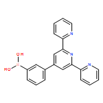 B-(3-[2,2':6',2''-Terpyridin]-4'-ylphenyl)boronic acid