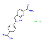 4',6-Diamidino-2-phenylindole dihydrochloride