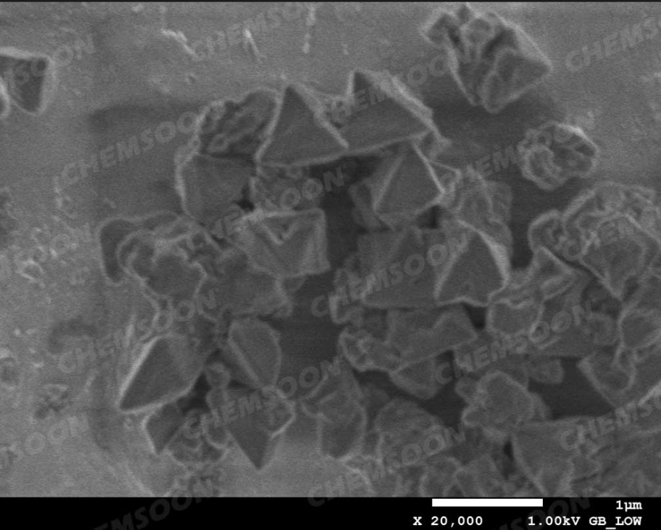 SEM-Ce-MOF-801