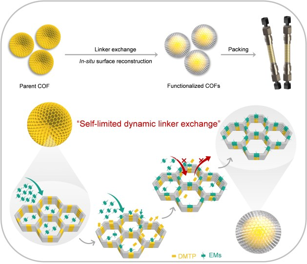 [COF Morphology Control] Functional COF Microspheres via Self-limited ...