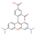 6-Carboxytetramethylrhodamine