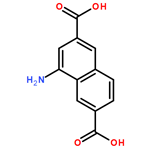 4-aminonaphthalene-2,6-dicarboxylic acid