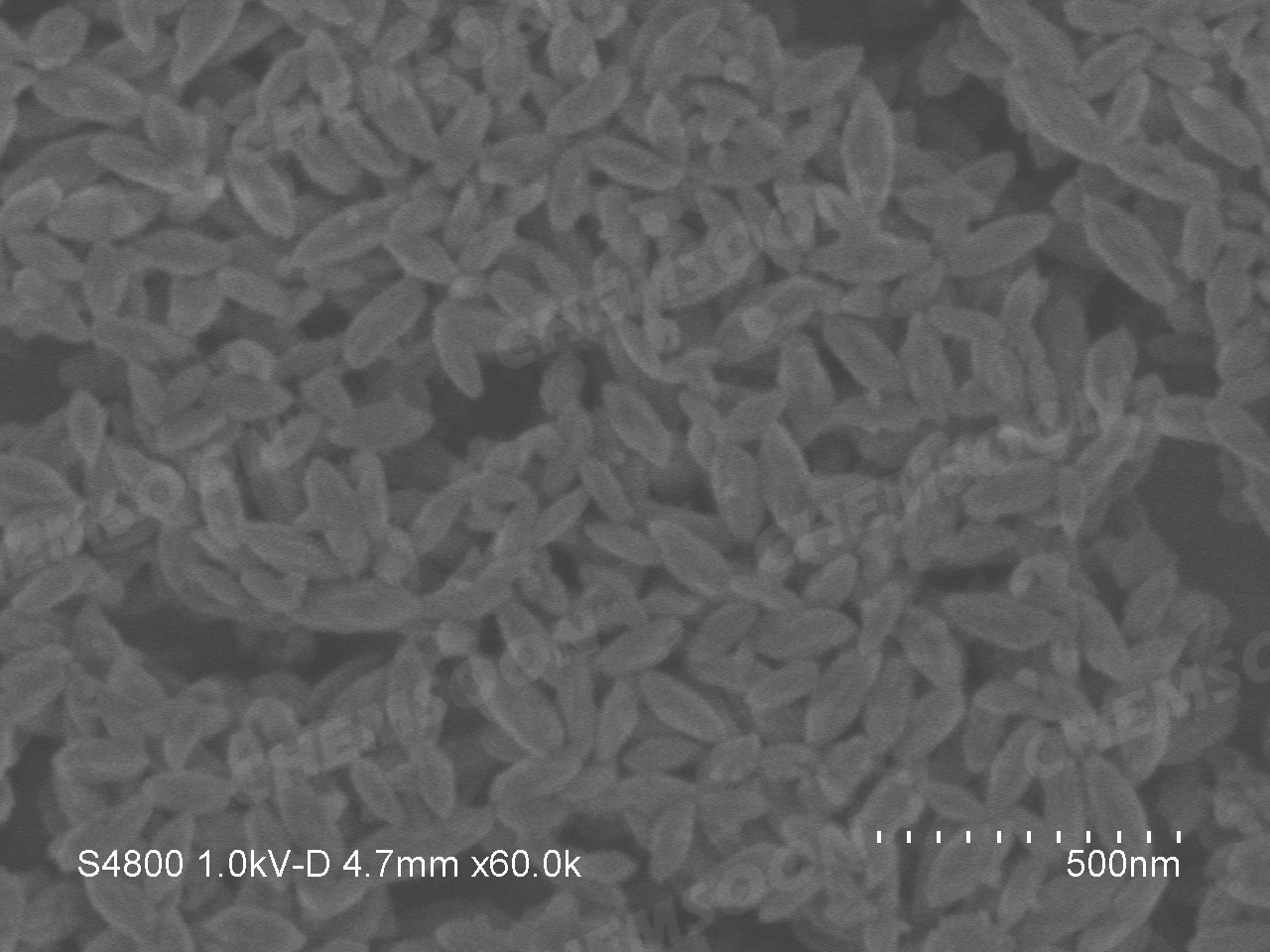 SEM-PCN-222 nano