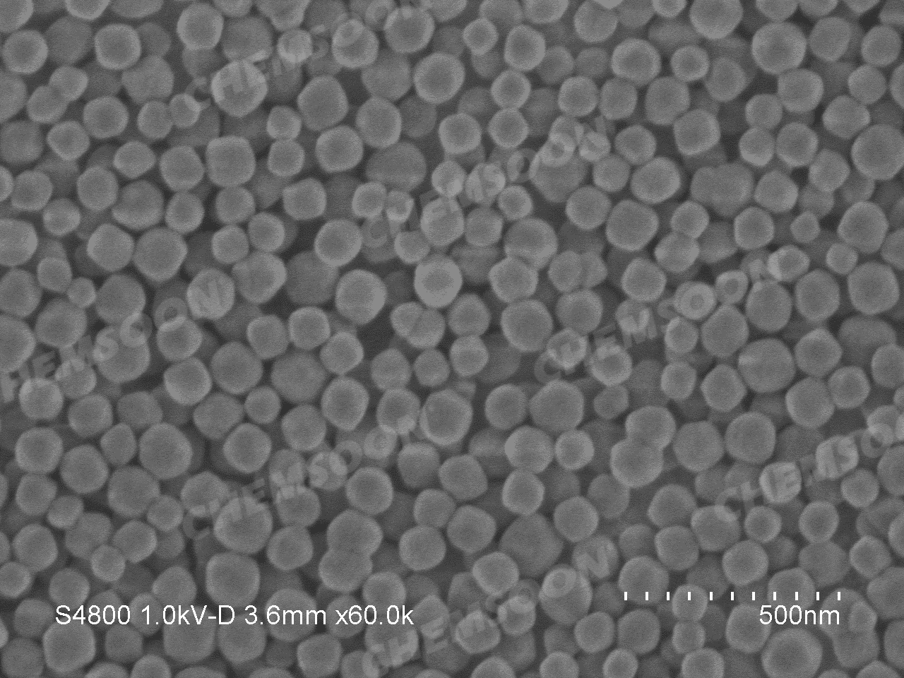 SEM-UIO-66 nanoparticles s