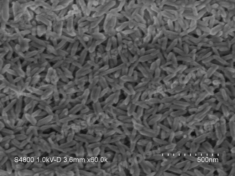 SEM-NH2-MIL-88B nano s